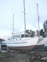 Catfisher for sale - ideal cold weather catamaran. A very strudy boat.